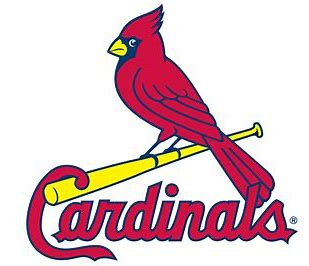 Image result for st louis sports